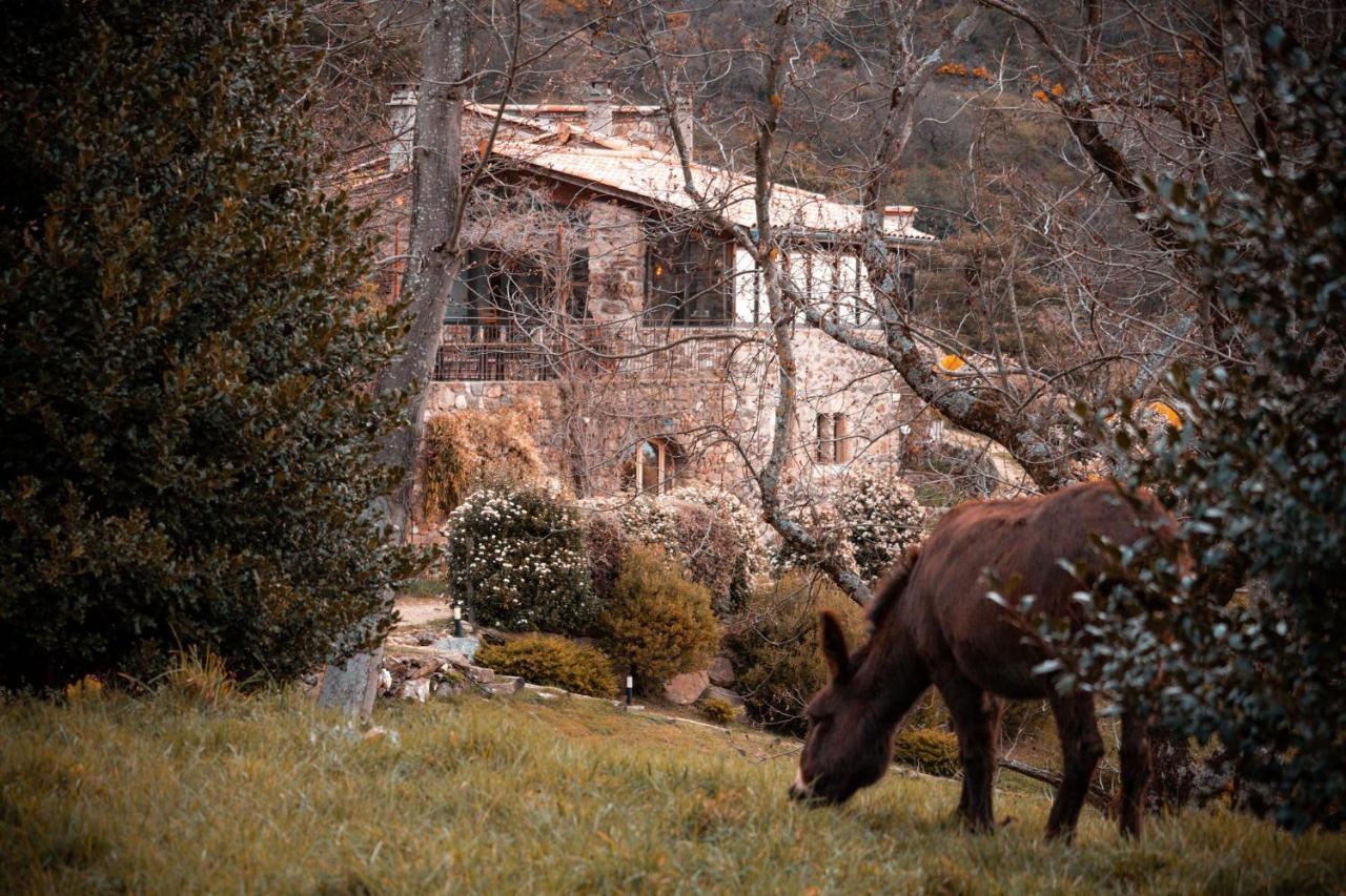Maison d'hôtes Le Hameau de la Mûre Saint-Laurent-du-Pape Exterior foto